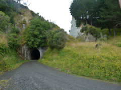 
Tangahoe tunnel with the cutting to the right, Taranaki, January 2013