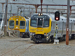 
FT4587 and EM1315 at Wellington Station, January 2013