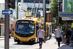 
Trolleybus '367', Wellington, January 2017