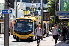 Trolleybus '367', Wellington, January 2017