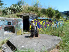 
Seven inch gun battery (North), Fort Ballance, Wellington, January 2013