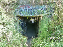 
Passage to seven inch battery, Fort Ballance, Wellington, January 2013