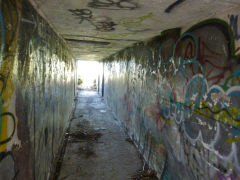 
Passage to seven inch battery, Fort Ballance, Wellington, January 2013