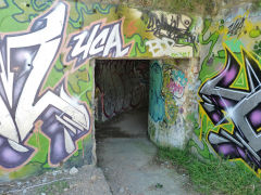 
Passage from seven inch battery, Fort Ballance, Wellington, January 2013