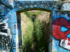 
Passage to seven inch battery, Fort Ballance, Wellington, January 2013