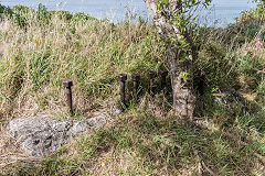 
Fort Buckley, Wellington, March 2017