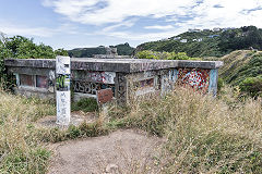 
Fort Dorset, Wellington, February 2017