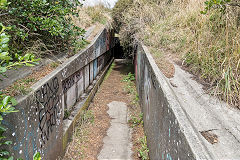 
Fort Dorset, Wellington, February 2017