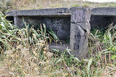 
Fort Dorset, Wellington, February 2017