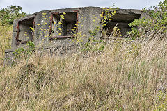 
Fort Dorset, Wellington, February 2017