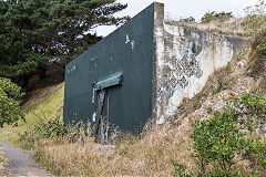 
Fort Dorset, Wellington, February 2017