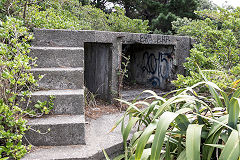 
Fort Dorset, Wellington, February 2017