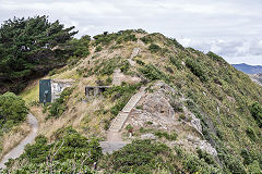 
Fort Dorset, Wellington, February 2017