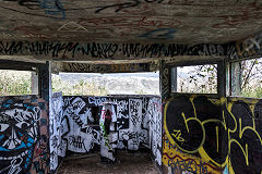 
Fort Dorset, Wellington, February 2017