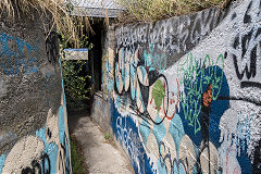 
Fort Dorset, Wellington, February 2017