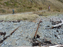 
Old rails from a slipway, Fort Opau, Makara, Wellington, December 2012