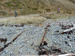 
Old rails from a slipway, Fort Opau, Makara, Wellington, December 2012