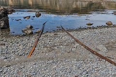 
Old rails from the slipway, Fort Opau, Makara, March 2017