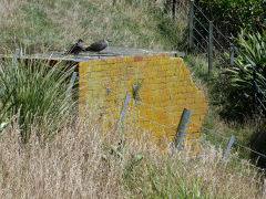 Brick building on the edge of the site, JSomes Island, Wellington, January 2013