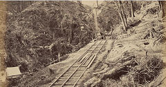 Moanataiari Creek goldmines, © Photo courtesy of Auckland Museum
