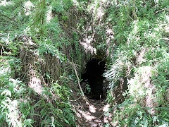 Shotover Valley, Thames, February 2023