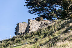Upper kiln, Sandymount, Otago Peninsular, February 2017