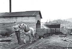 
Charming Creek Colliery, 1948, © Photo courtesy of DoC