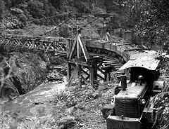 
The suspension bridge, Charming Creek Railway, © Photo courtesy of DoC