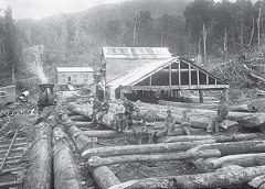 
Watson's Mill and original incline and lokey, c1920, Charming Creek Railway, © Photo courtesy of DoC