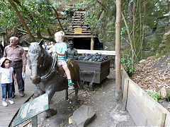 Katoomba level, Blue Mountains, December 2012