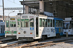 
Trams '1092' and '1207' at Kumamoto, October 2017