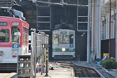 
Tram '1204' at Kumamoto, October 2017