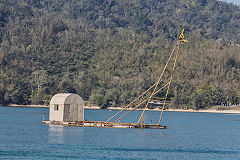 
Sun Moon Lake works boat, February 2020