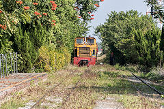 
Along the line at Wu shu lin, February 2020