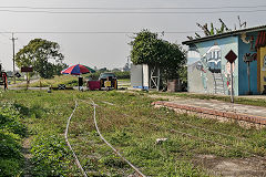 
Along the line at Wu shu lin, February 2020