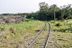 
Along the line at Wu shu lin, February 2020