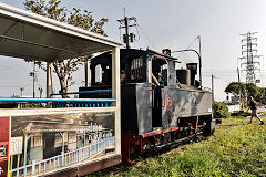 
Along the line with '346' at Xihu, February 2020