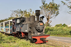 
Along the line with '346' at Xihu, February 2020