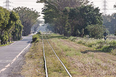 
Along the line with '346' at Xihu, February 2020