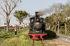 
Along the line with '346' at Xihu, February 2020