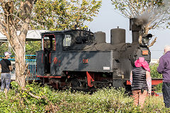 
Along the line with '346' at Xihu, February 2020