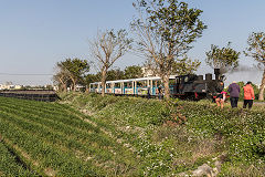 
Along the line with '346' at Xihu, February 2020