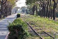 
Along the line with '346' at Xihu, February 2020