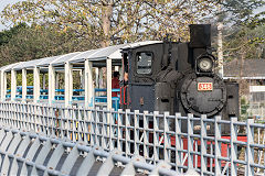 
Along the line with '346' at Xihu, February 2020