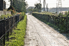 
Along the line with '346' at Xihu, February 2020