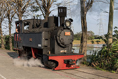 
Along the line with '346' at Xihu, February 2020