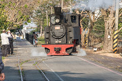 
Along the line with '346' at Xihu, February 2020