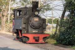 
Along the line with '346' at Xihu, February 2020